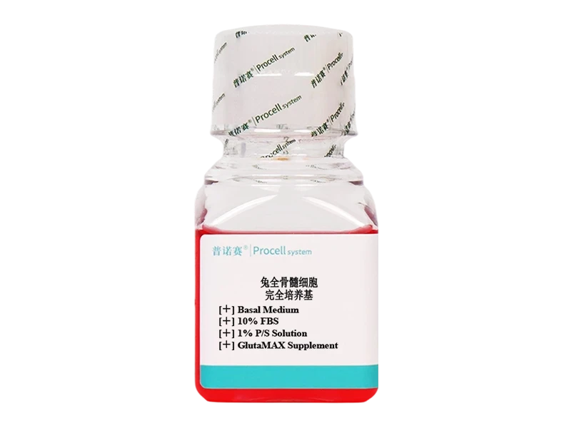 https://789.bio/ec/SbapMmcl