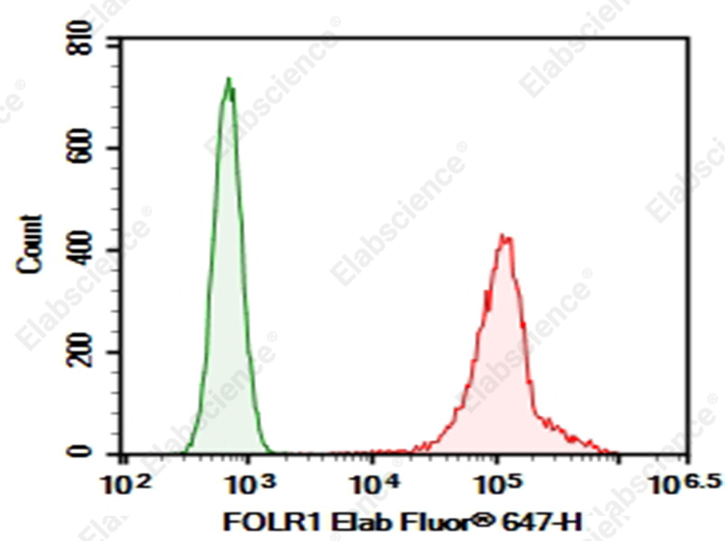 Purified Anti-Human FOLR1 Antibody[E29459] - 1