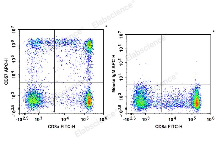 Human peripheral blood lymphocytes are stained with FITC Anti-Human CD8a Antibody and APC Anti-Human CD57 Antibody (Left). Lymphocytes are stained with FITC Anti-Human CD8a Antibody and APC Mouse IgM, κ Isotype Control (Right).