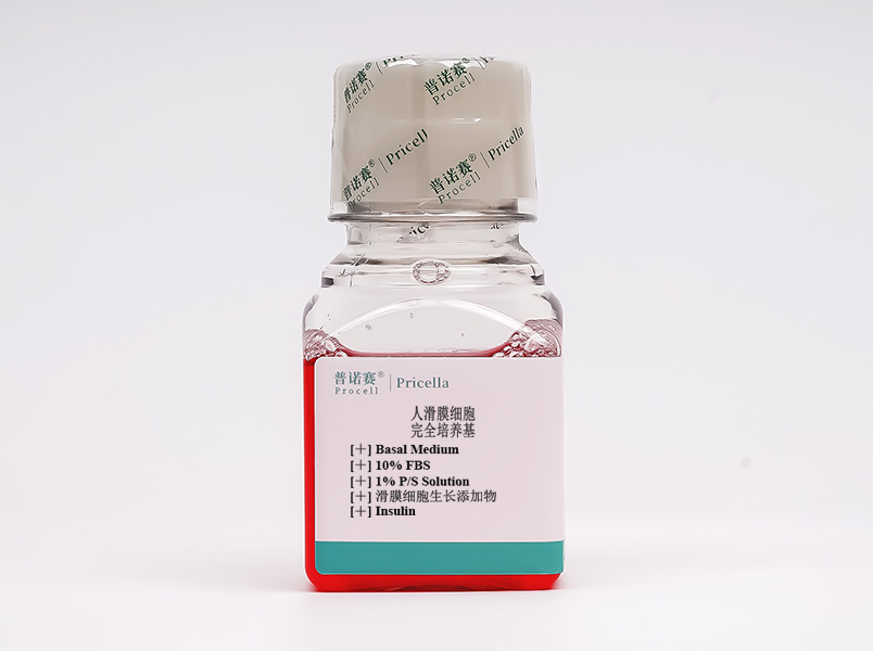 https://789.bio/ec/Sh5h9G
