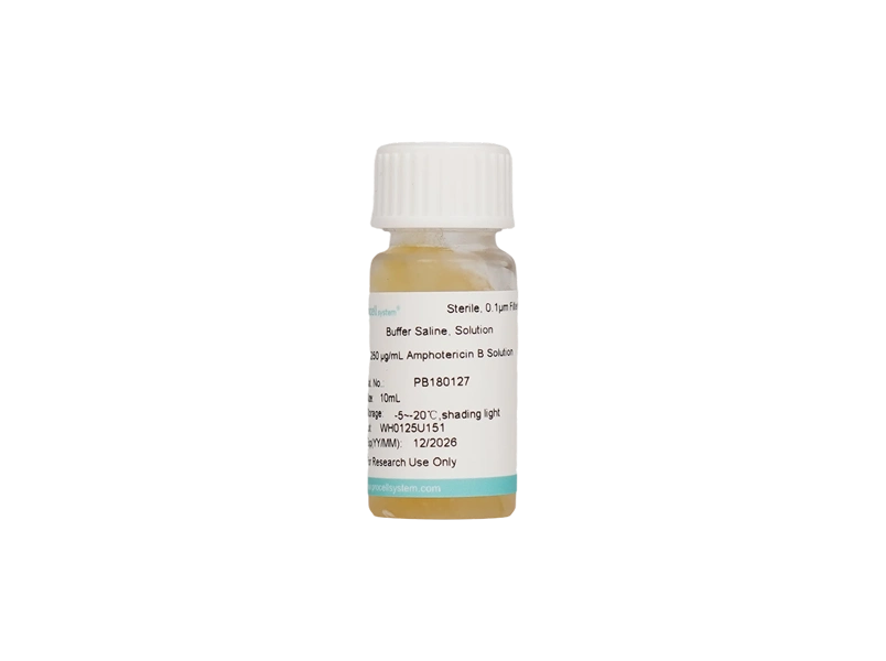 250 &mu;g/mL Amphotericin B Solution