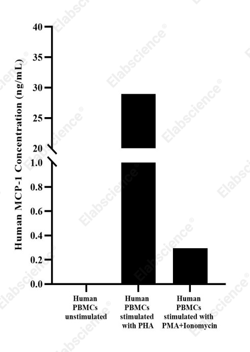Uncoated Human MCP-1(Monocyte Chemotactic Protein 1) ELISA Kit - 2