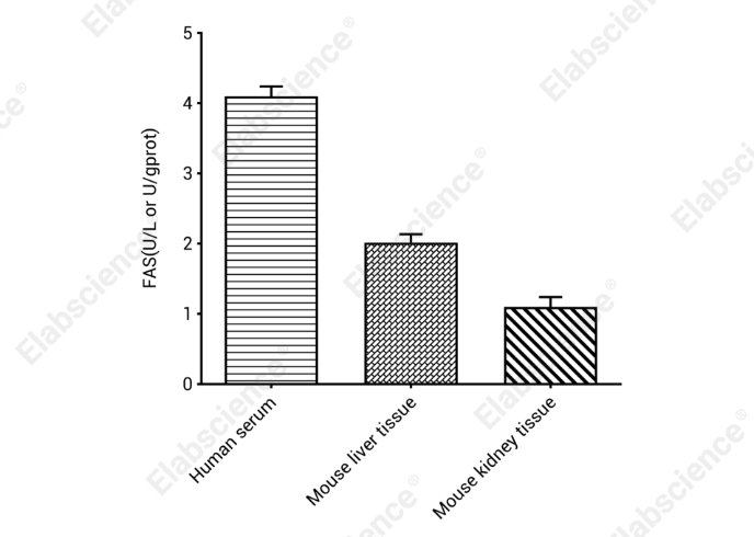 Fatty Acid Synthase (FAS) Activity Colorimetric Assay Kit - 1