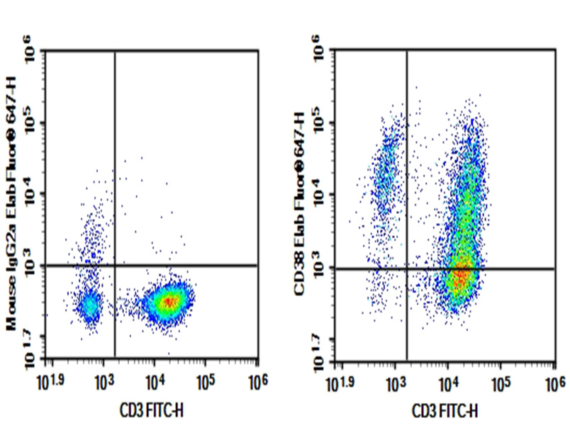 Purified Anti-Human CD38 Antibody[HI157]-searchlist-1