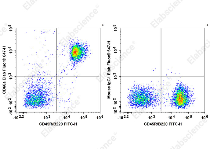 Elab Fluor® 647 Anti-Mouse CD66A Antibody[Mab-CC1]-1