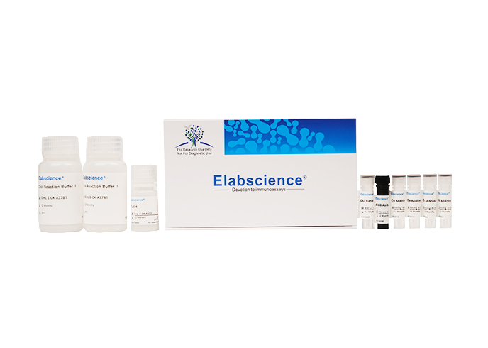 E-Click EdU Cell Proliferation Flow Cytometry Assay Kit (Red, Elab Fluor® 647)