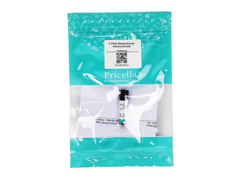 https://789.bio/ec/SlP8ZH