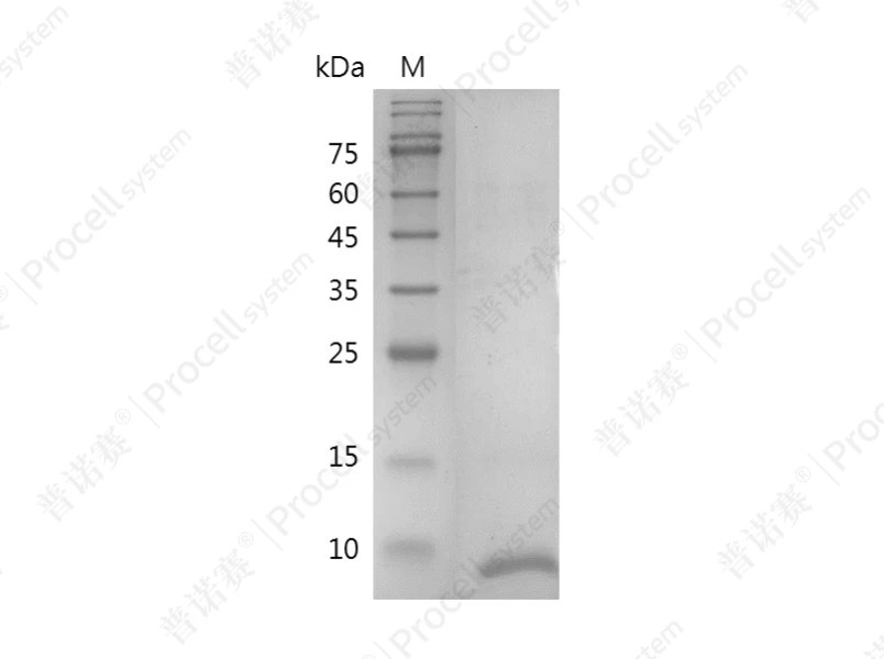 https://789.bio/ec/SlSR4G