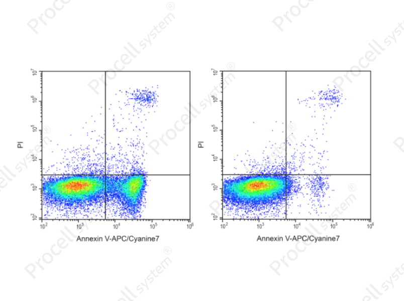 Annexin V-APC/Cyanine7/PI Apoptosis KitAnnexin V-APC/Cyanine7/PI Apoptosis Kit - 1