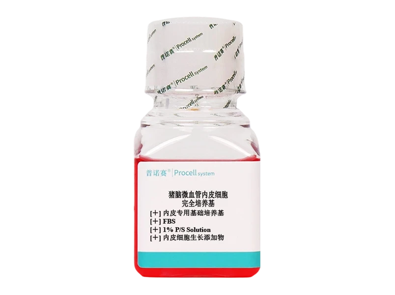 https://789.bio/ec/SnOMTc68