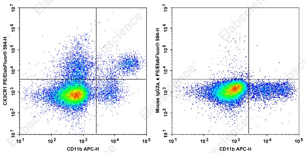PE/Elab Fluor<sup>®</sup>594 Anti-Mouse CX3CR1 Antibody[SA011F11] - 1
