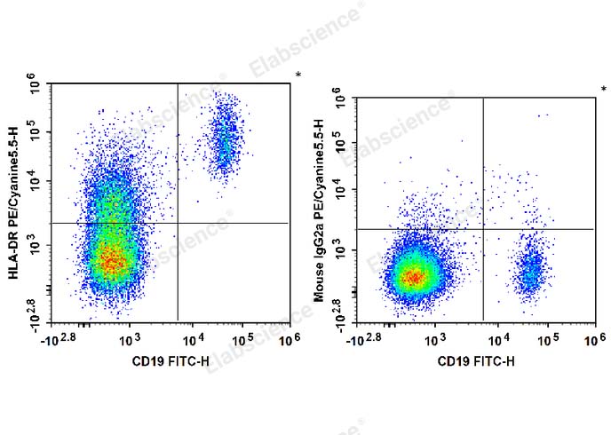 Human peripheral blood lymphocytes are stained with FITC Anti-Human CD19 Antibody and PE/Cyanine5.5 Anti-Human HLA-DR Antibody (Left). Lymphocytes are stained with FITC Anti-Human CD19 Antibody and PE/Cyanine5.5 Mouse IgG2a, κ Isotype Control (Right).