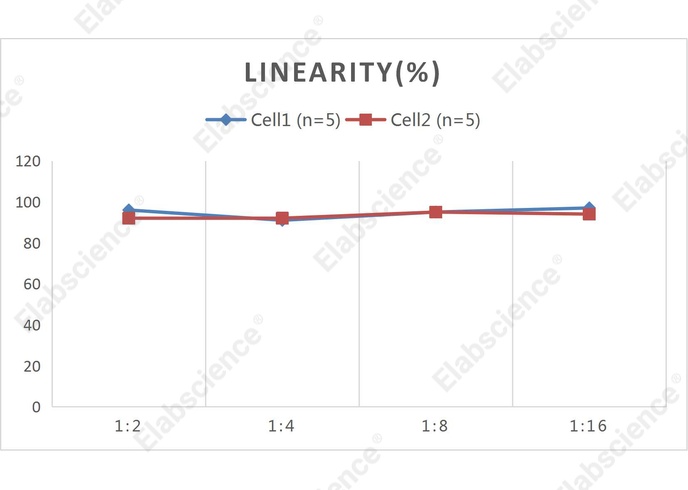 CellaQuant™ Rat TNF-α (Tumor Necrosis Factor Alpha) ELISA Kit - 2