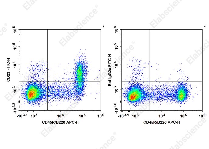 FITC Anti-Mouse CD23 Antibody[B3B4]-1