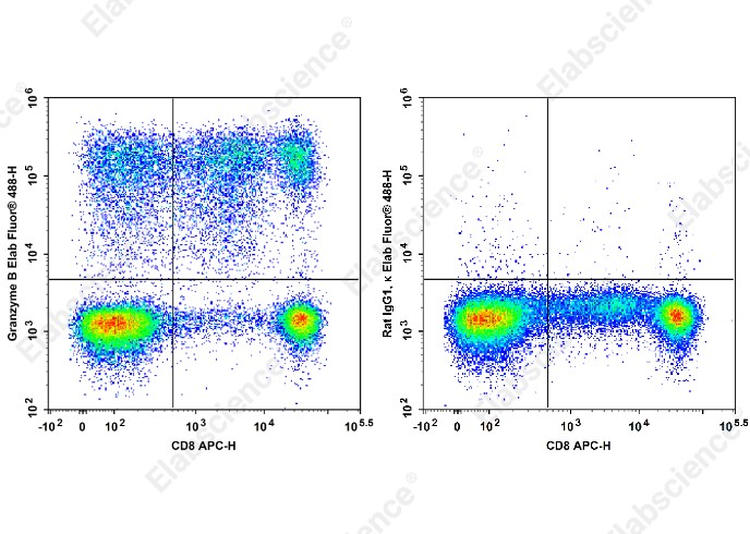 Elab Fluor<sup>&reg;</sup>488 Anti-Human Granzyme B Antibody[QA18A28] - 1