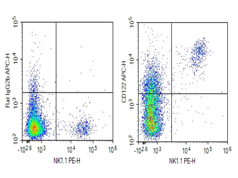 Purified Anti-Mouse CD122 Antibody[TM-Beta 1] - 1