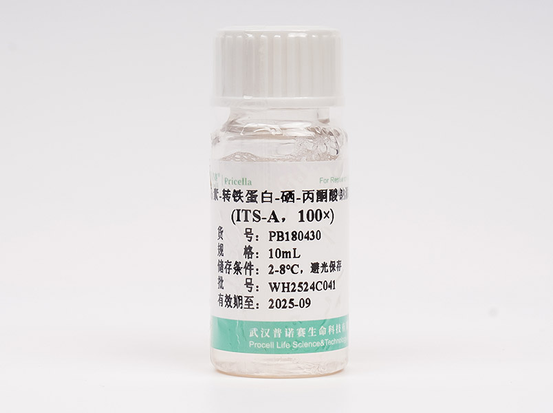 https://789.bio/ec/Sxq58C