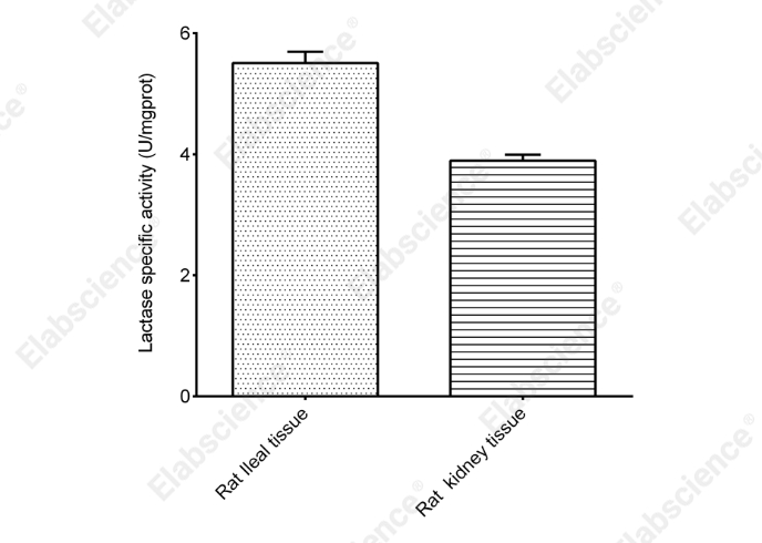 Lactase Activity Assay Kit - 2