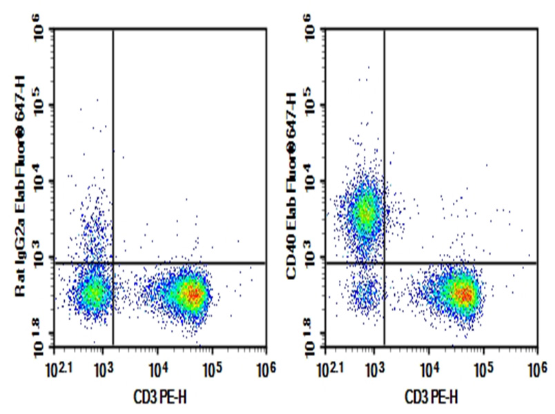 Purified Anti-Mouse CD40 Antibody[FGK4.5/FGK45]-1