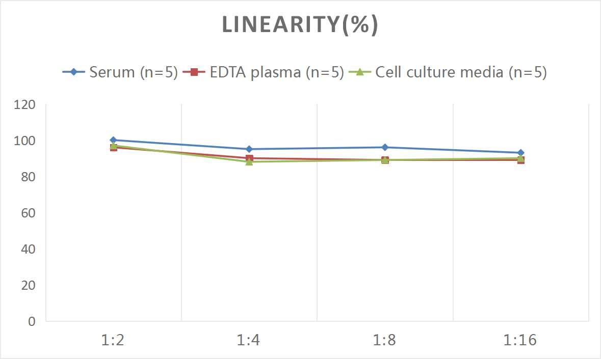 Human PDGF-AB(Platelet Derived Growth Factor AB) ELISA Kit-产品推荐-2