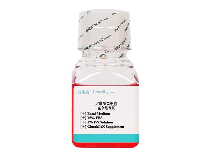 https://789.bio/ec/T70KdTgM