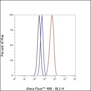 Recombinant CD239/BCAM Monoclonal Antibody - small - 3