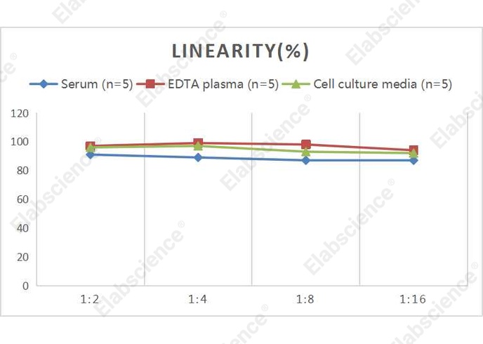 Mini Sample Human TIMP-1 (Tissue Inhibitors of Metalloproteinase 1) ELISA Kit - 2
