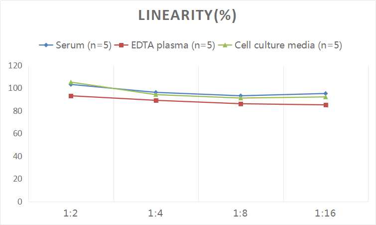 Human SLC(Secondary Lymphoid Tissue Chemokine) ELISA Kit - 2