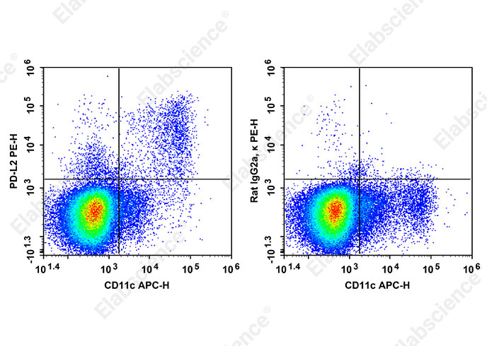PE Anti-Mouse PD-L2 Antibody[TY25]-searchlist-1