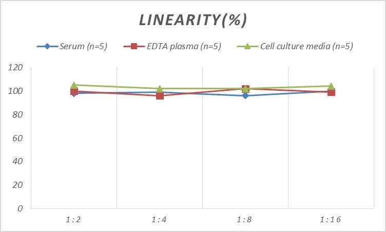 Mini Sample Mouse KIM-1 (Kidney Injury Molecule 1) ELISA Kit-产品推荐-1
