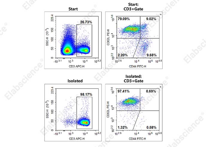 EasySort™ Mouse Pan-Naïve T Cell Isolation Kit-searchlist-1