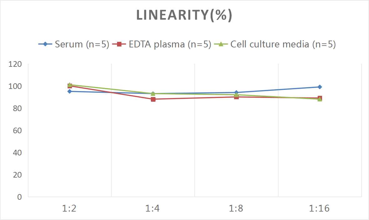 Mouse EPCAM(Epithelial Cell Adhesion Molecule) ELISA Kit - 2