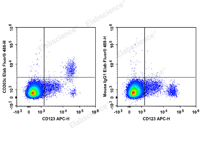 Human peripheral blood cells are stained with APC Anti-Human CD123 Antibody and Elab Fluor® 488 Anti-Human CD203c Antibody (Left). Peripheral blood cells are stained with APC Anti-Human CD123 Antibody and Elab Fluor® 488 Mouse IgG1,κ Isotype Control (Right).