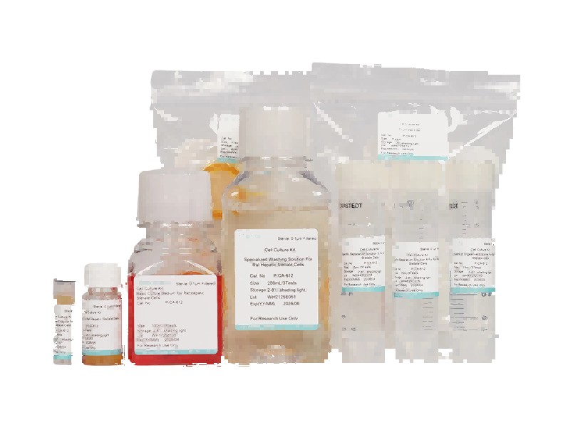 Rat Hepatic Stellate Cell Isolation and Culture Kit
