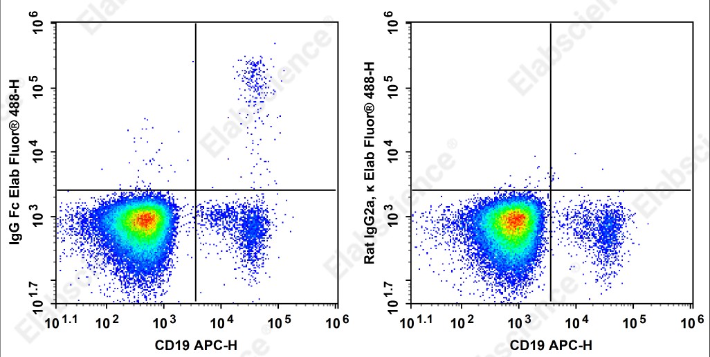 Elab Fluor<sup>®</sup>488 Anti-Human IgG Fc Antibody[M1310G05] - 1