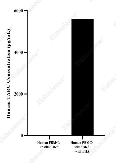 Uncoated Human TARC(Thymus Activation Regulated Chemokine) ELISA Kit - 2