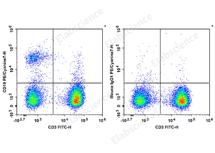 Human peripheral blood lymphocytes are stained with FITC Anti-human CD3 Antibody and PE/Cyanine7 Anti-Human CD19 Antibody[4G7] (Left). Lymphocytes are stained with FITC Anti-human CD3 Antibody and PE/Cyanine7 Mouse IgG1, κ Isotype Control (Right).