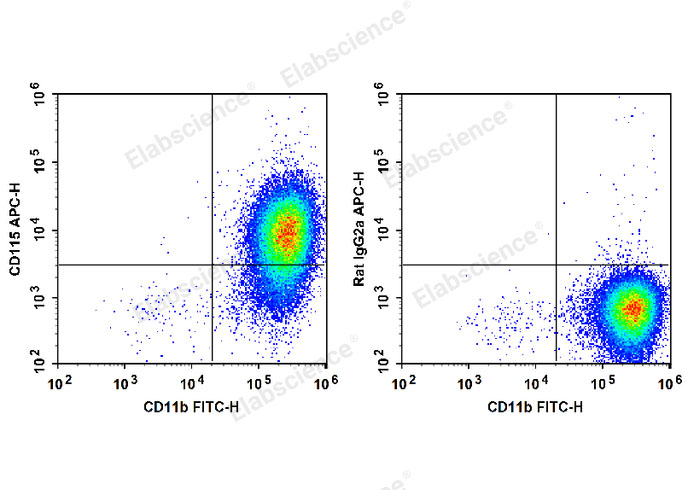 C57BL/6 murine abdominal macrophages elicited by starch broth are stained with FITC Anti-Mouse CD11b Antibody and APC Anti-Mouse CD115 Antibody (Left). Abdominal macrophages are stained with FITC Anti-Mouse CD11b Antibody and APC Rat IgG2a, κ Isotype Control (Right).