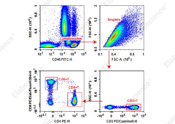 Anti-Human CD45-FITC/CD3-PE/Cyanine5/CD4-PE/CD8-PE/Elab Fluor<sup>®</sup> 594 Cocktail-searchlist-1