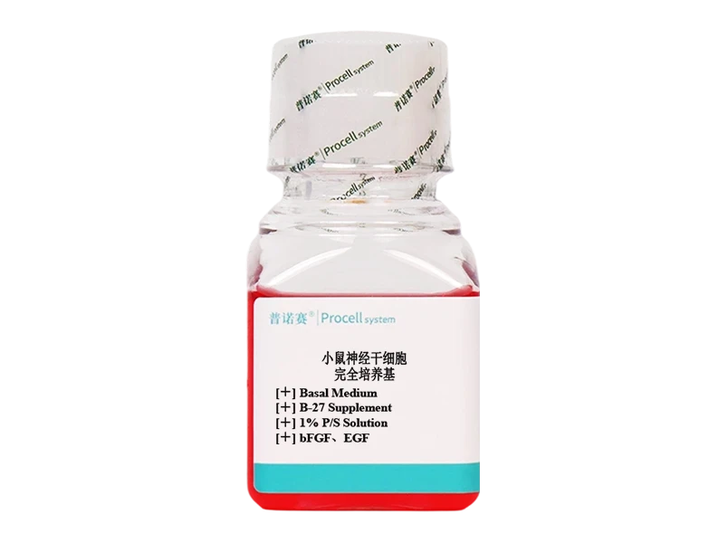https://789.bio/ec/TPGyjV8k