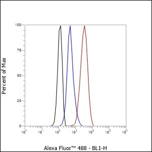 Recombinant Rab7 Monoclonal Antibody-searchlist-1