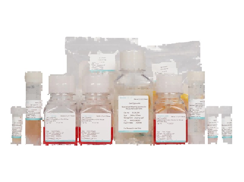 Mouse Astrocyte Isolation and Culture Kit - 1
