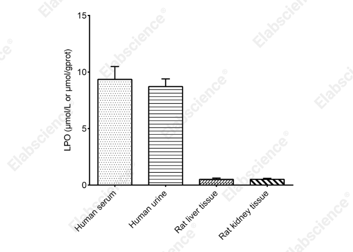Lipid Peroxide (LPO) Colorimetric Assay Kit - 2