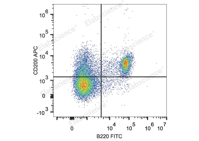 C57BL/6 murine splenocytes are stained with APC Anti-Mouse CD200 Antibody and FITC Anti-Mouse CD45R/B220 Antibody.