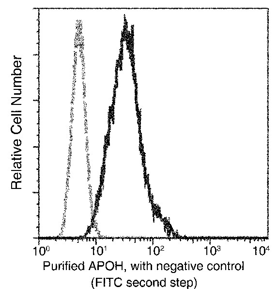 Apolipoprotein H/APOH Monoclonal Antibody - small - 2