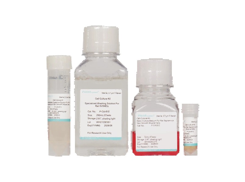 Rat Saphenous Vein Smooth Muscle Cell Isolation and Culture Kit