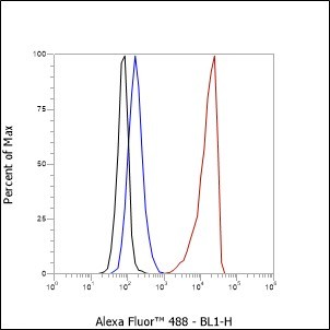 Recombinant Phospho-Tau (Ser199) Monoclonal Antibody - small - 4