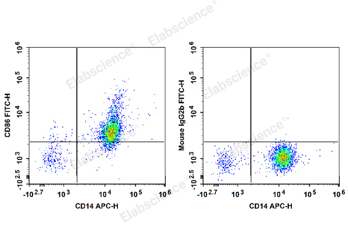 Human peripheral blood monocytes are stained with APC Anti-Human CD14 Antibody and FITC Anti-Human CD86 Antibody (Left). Monocytes are stained with APC Anti-Human CD14 Antibody and FITC Mouse IgG2b, κ Isotype Control (Right).