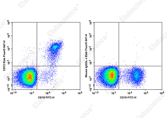 Elab Fluor® 647 Anti-Human CD72 Antibody[3F3]-1