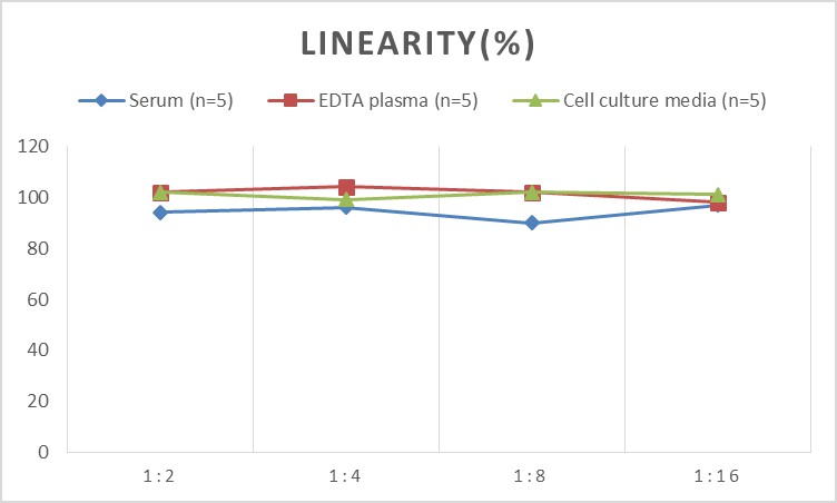 Mouse MMP-9(Matrix Metalloproteinase 9) ELISA Kit-产品推荐-3